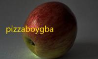 pizzaboygba模拟器